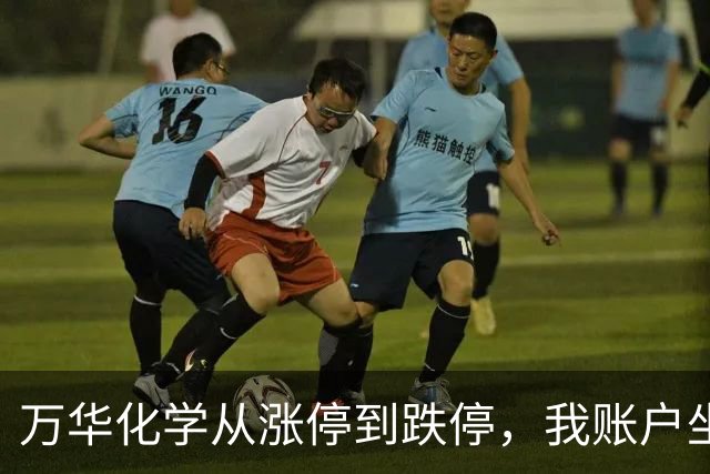万华化学从涨停到跌停，我账户坐了趟过山车没下车