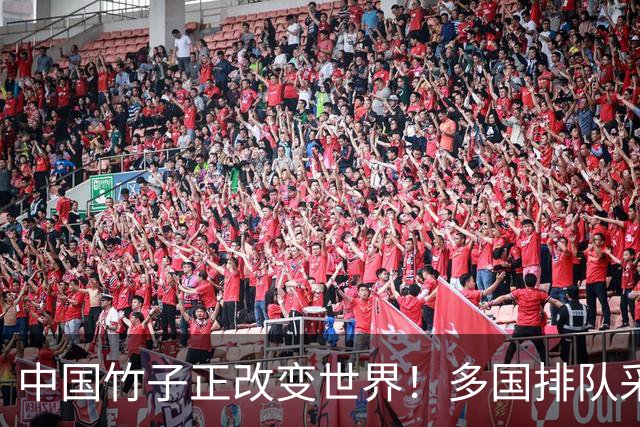 中国竹子正改变世界！多国排队采购，“以竹代石”意味着什么？
