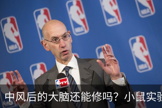 中风后的大脑还能修吗？小鼠实验给出一个意外答案