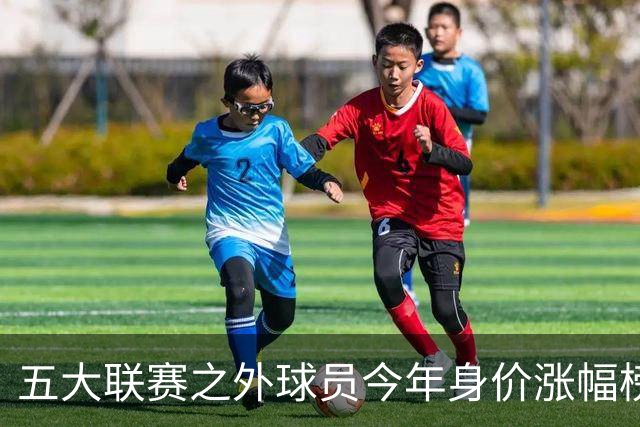 五大联赛之外球员今年身价涨幅榜：普雷斯蒂安尼、谢尔德鲁普前二
