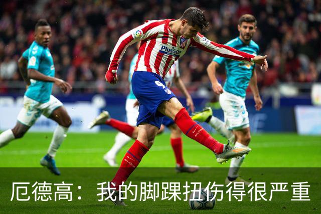 厄德高：我的脚踝扭伤得很严重