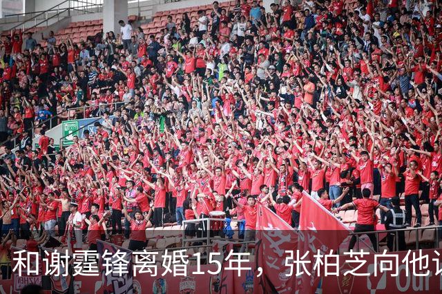 和谢霆锋离婚15年，张柏芝向他证明，王菲再好，儿子们才是他的骄傲
