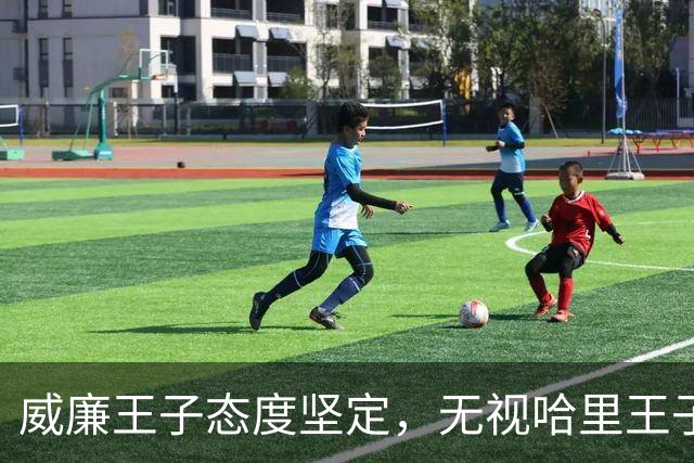 威廉王子态度坚定，无视哈里王子的和解请求，依旧拒绝原谅他