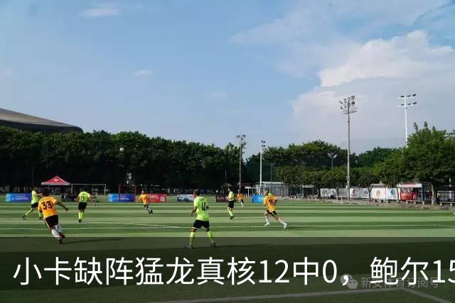 小卡缺阵猛龙真核12中0，鲍尔15+8华子26分，森林狼屠龙夺三连胜