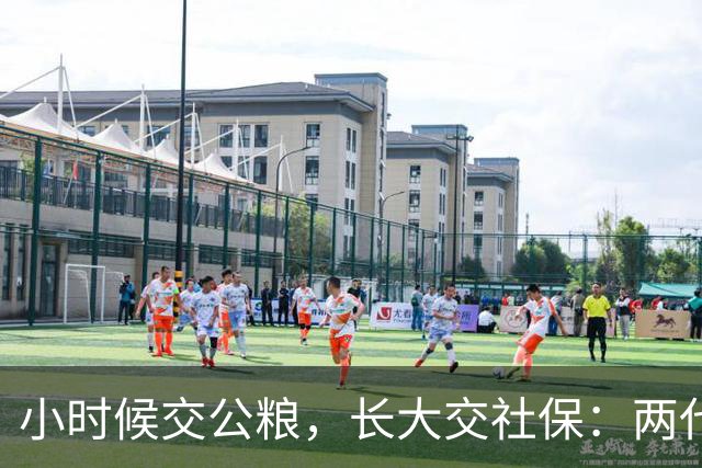 小时候交公粮，长大交社保：两代人的账，其实是一本账