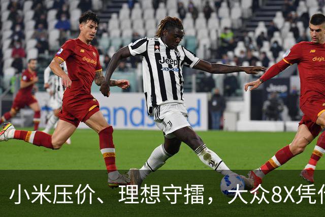 小米压价、理想守擂，大众8X凭什么杀进25万级？