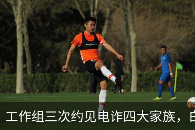 工作组三次约见电诈四大家族，白应苍临刑前：以为中国不敢动真格
