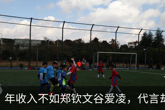 年收入不如郑钦文谷爱凌，代言却多出一倍！孙颖莎凭什么碾压？