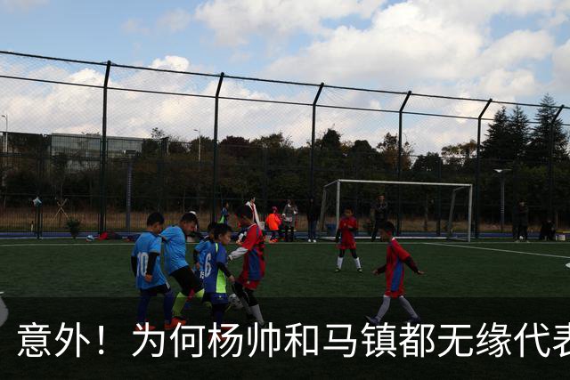 意外！为何杨帅和马镇都无缘代表申花首发出战亚冠，原因找到了
