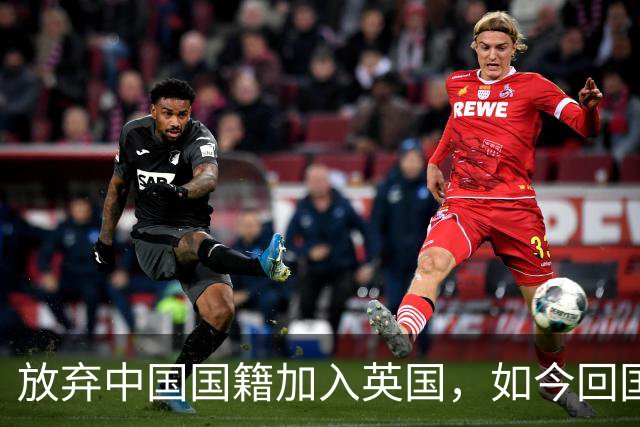 放弃中国国籍加入英国，如今回国当CEO的姜丰后悔过吗？