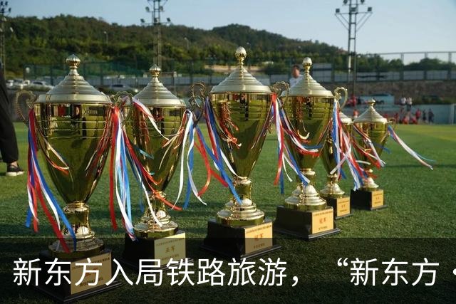 新东方入局铁路旅游，“新东方·霞客号”列车12月自北京站始发
