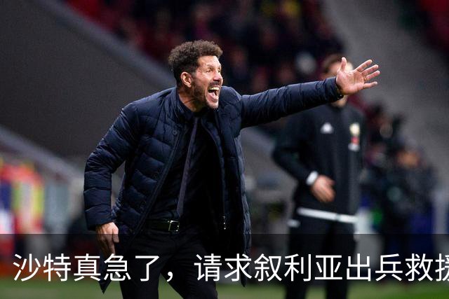 沙特真急了，请求叙利亚出兵救援！