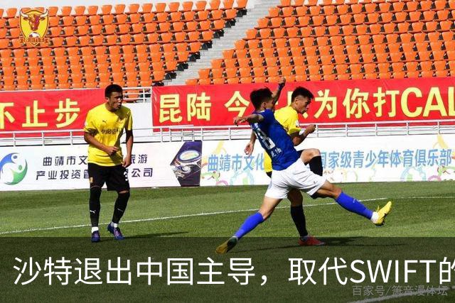 沙特退出中国主导，取代SWIFT的跨境数字货币平台；面对胡塞威胁，沙特被迫站队美国