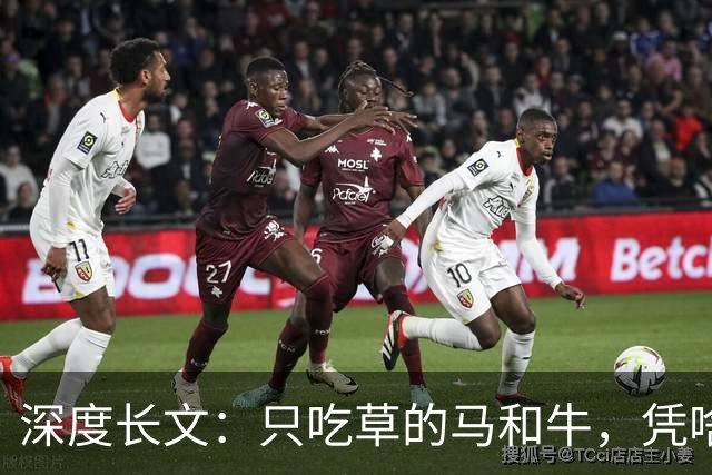 深度长文：只吃草的马和牛，凭啥能长一身结实肌肉？