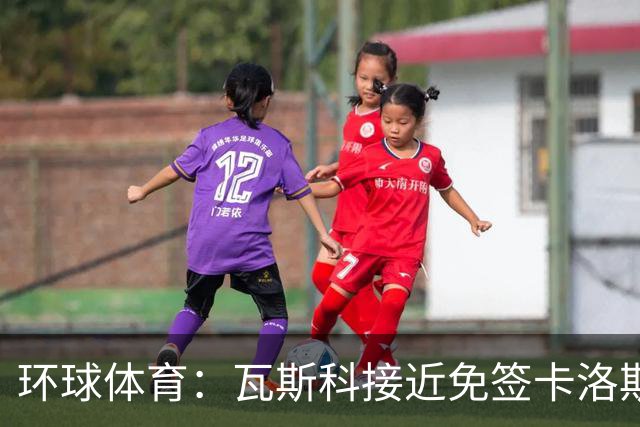环球体育：瓦斯科接近免签卡洛斯-维尼修斯