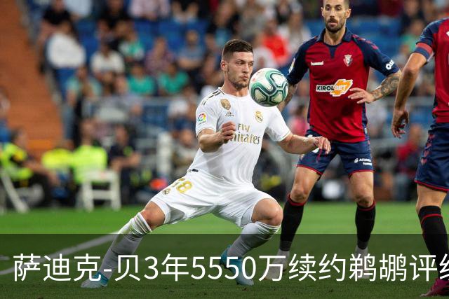 萨迪克-贝3年5550万续约鹈鹕评级：B