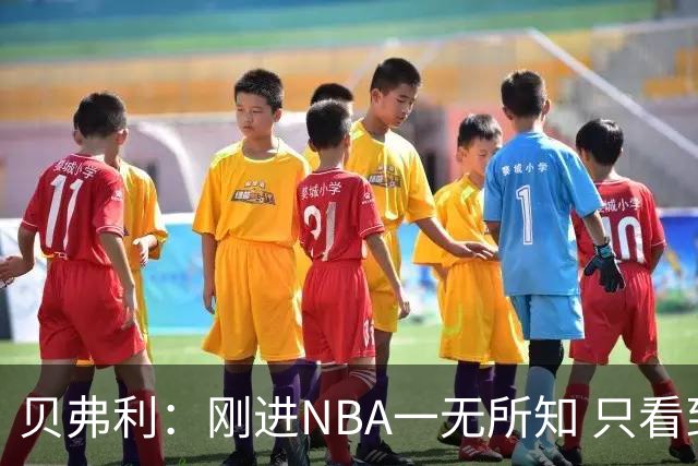 贝弗利：刚进NBA一无所知 只看到哈登像摇滚明星&林书豪被围观