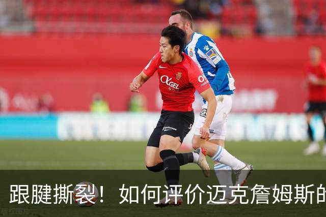 跟腱撕裂！如何评价迈克詹姆斯的生涯？