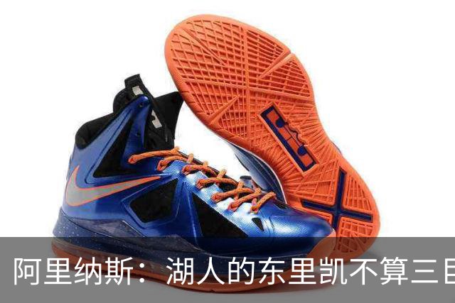 阿里纳斯：湖人的东里凯不算三巨头 三个全明星才叫三巨头