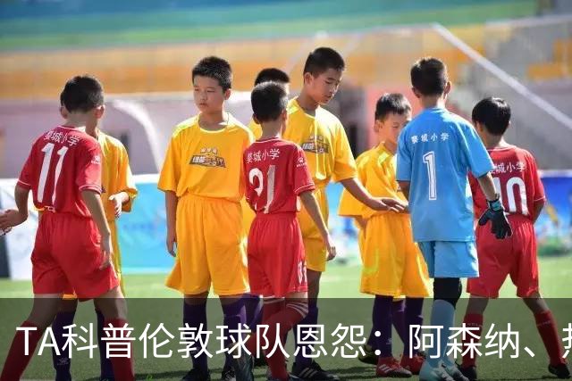 TA科普伦敦球队恩怨：阿森纳、热刺、切尔西互恨 富勒姆比较佛系